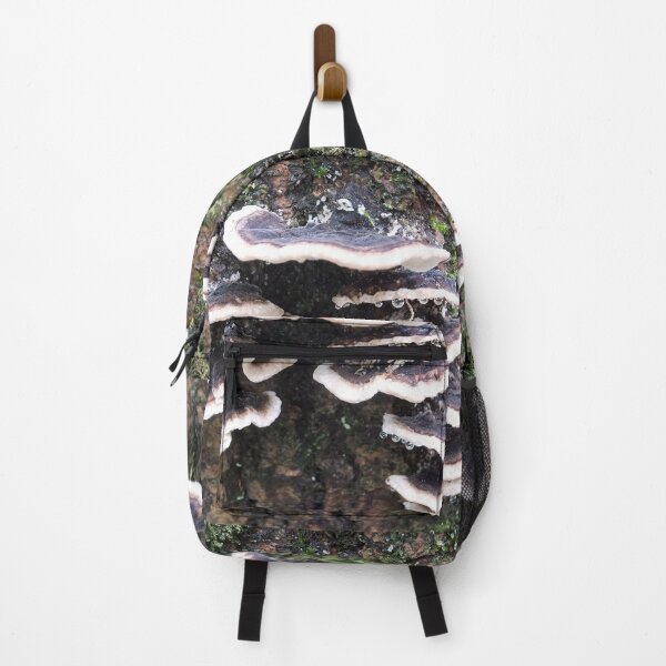 Item preview, Bracket fungus designed and sold by pinkal.