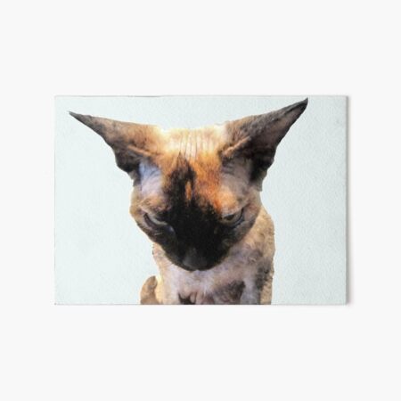 Impressions Rigides Sur Le Theme Oreilles De Chat Redbubble