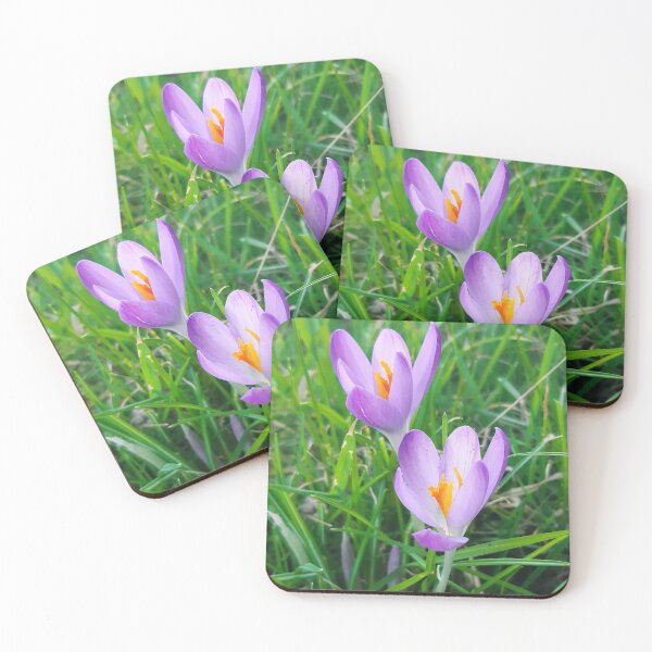 Item preview, Crocus in grass  designed and sold by Emma  Amies.