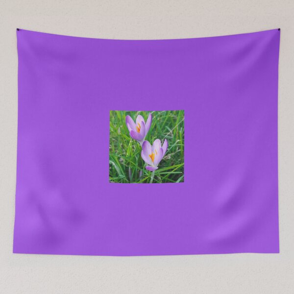 Item preview, Crocus in grass  designed and sold by Emma  Amies.