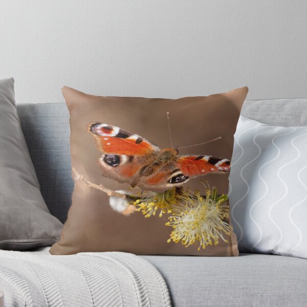 Item preview, European peacock butterfly designed and sold by pietrofoto.