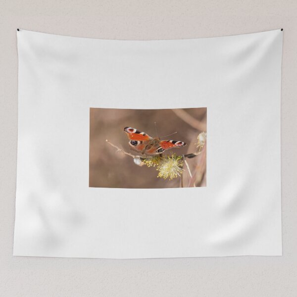Item preview, European peacock butterfly designed and sold by pietrofoto.