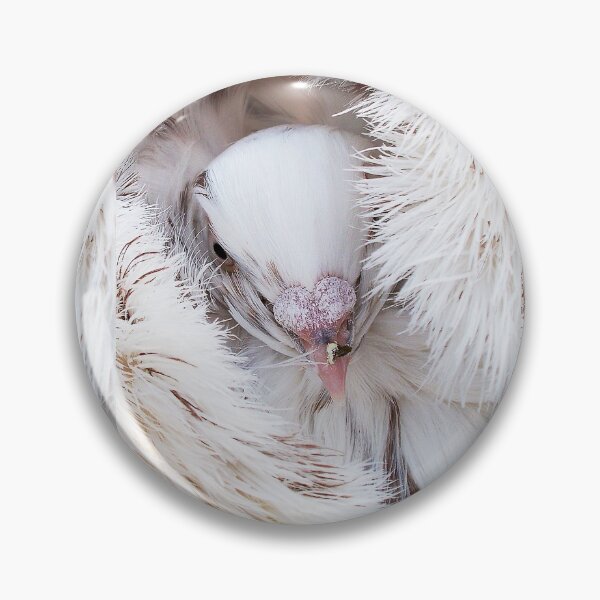 Item preview, r1368/ maj -  Pigeon white cream ! photo  6 (c)(h) by Olao-Olavia / Okaio Créations designed and sold by o.okaïo.