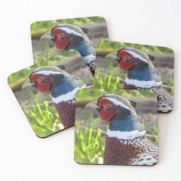 Item preview, Male Pheasant  designed and sold by Joanne Wall.