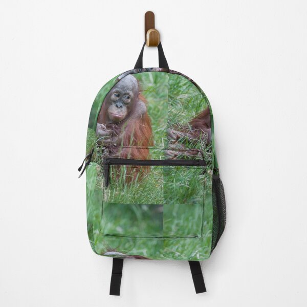 Item preview, Young orangutan designed and sold by Ingo Gerlach.