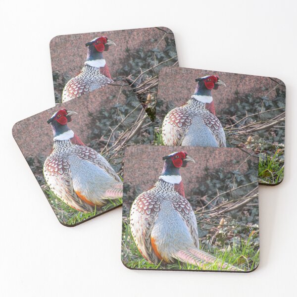 Item preview, Male Pheasant  designed and sold by Joanne Wall.