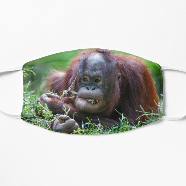 Orangutan baby Flat Mask