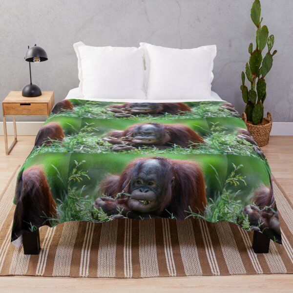 Item preview, Orangutan baby designed and sold by Ingo Gerlach.