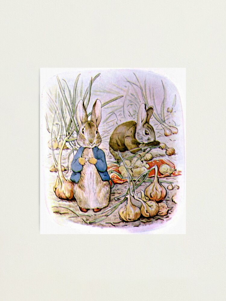 Lámina fotográfica for Sale con la obra «Fiesta del té del conejo - Beatrix  Potter» de forgottenbeauty