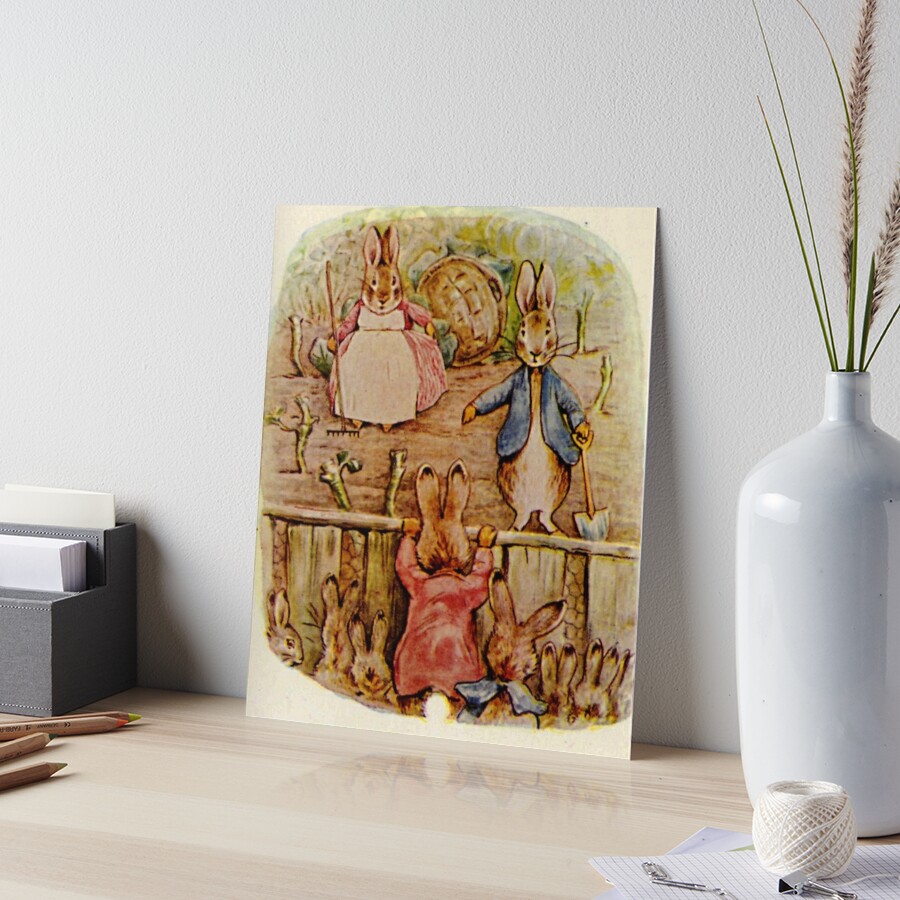 Amazon.co.jp: ピーターラビット BEATRIX POTTER THE FLOPSY