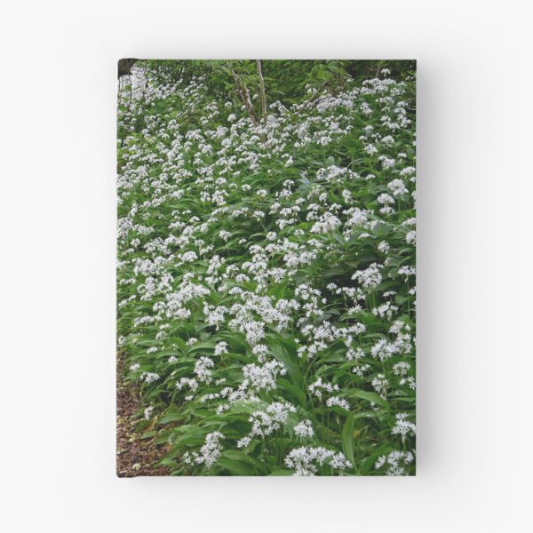 Item preview, Wild Garlic in a Spring Wood designed and sold by Martyn R Arnold Fine Art Nature & Landscape Photography.