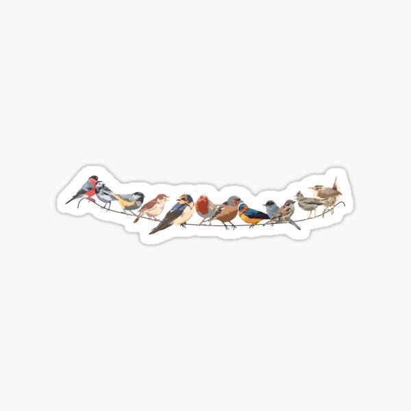 Beautifully Designed Bird Breed Images Sticker for Sale by Claire Stamper