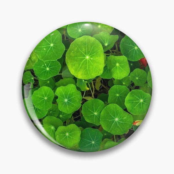 Item preview, greenery designed and sold by Bizarro23.