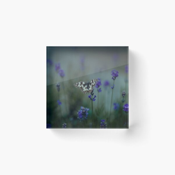 Item preview, The Galate butterfly shines among the lavender fields  designed and sold by ritadilalla.