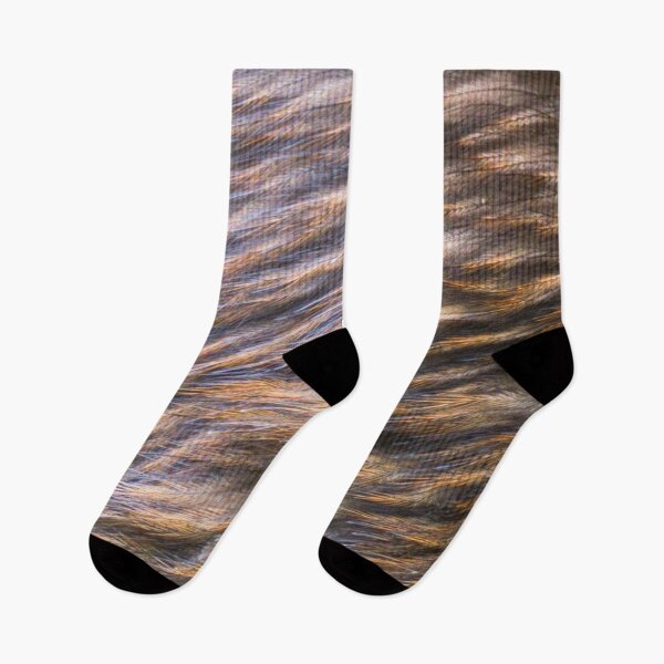 Item preview, Kiwi feathers, plumage, brown, close up. (From photograph of a live kiwi). designed and sold by JellyBeenzz.