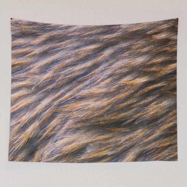 Item preview, Kiwi feathers, plumage, brown, close up. (From photograph of a live kiwi). designed and sold by JellyBeenzz.