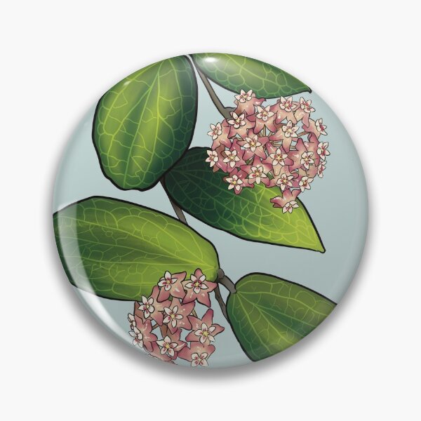 Item preview, Hoya Fitchii designed and sold by Wieskunde.