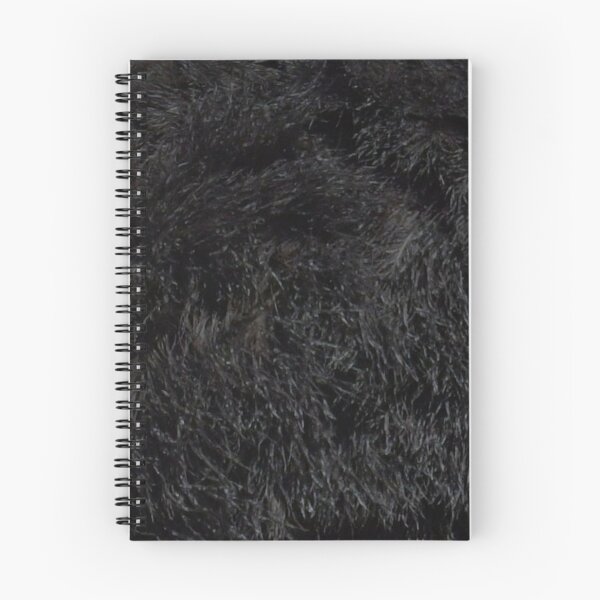 Item preview, Ostrich feathers, plumage, black, close up. (From photograph of a live ostrich). designed and sold by JellyBeenzz.