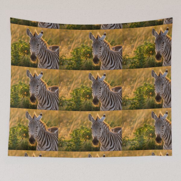 Item preview, Zebra beard in the morning light designed and sold by Ingo Gerlach.