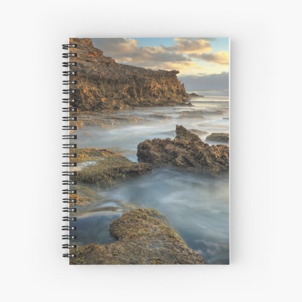 Spiral Notebook