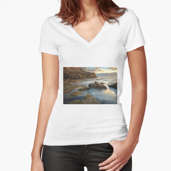 Fitted V-Neck T-Shirt