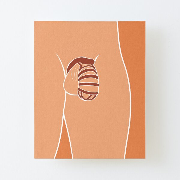 chastity locked up hubby print Canvas Mounted Print