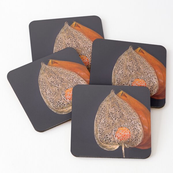 Item preview, Physalis or balloon flower, designed and sold by Ingo Gerlach.