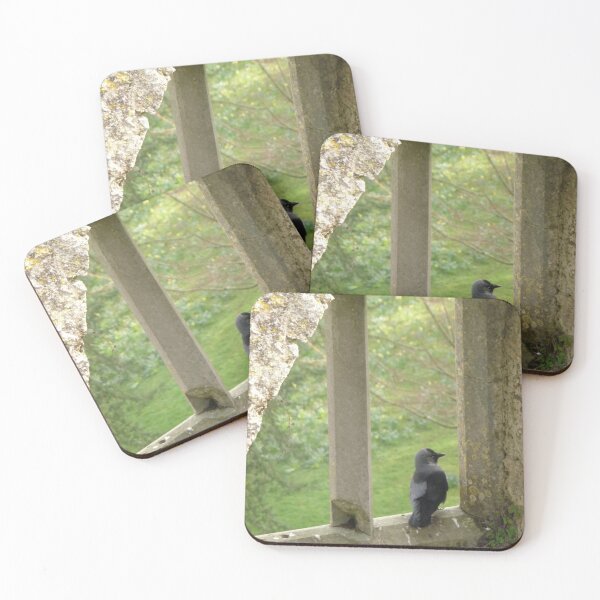 Item preview, Window Perch designed and sold by Imashanya.