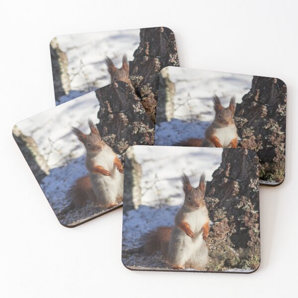 Item preview, Hello there. Eurasian red squirrel designed and sold by Jouko Lehto Photography.