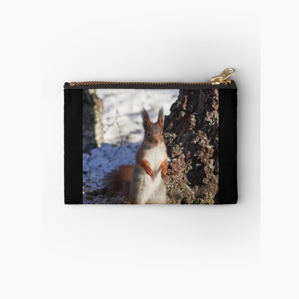 Item preview, Hello there. Eurasian red squirrel designed and sold by Jouko Lehto Photography.