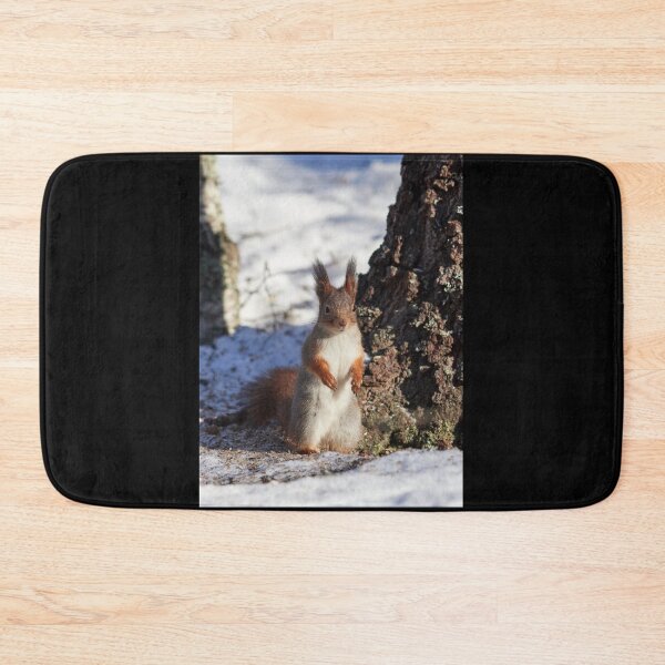 Item preview, Hello there. Eurasian red squirrel designed and sold by Jouko Lehto Photography.