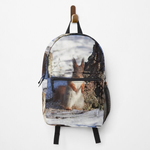 Item preview, Hello there. Eurasian red squirrel designed and sold by Jouko Lehto Photography.