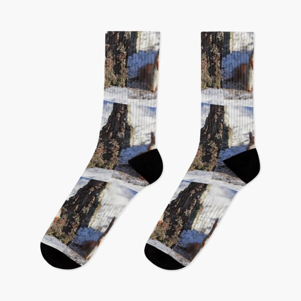 Item preview, Hello there. Eurasian red squirrel designed and sold by Jouko Lehto Photography.