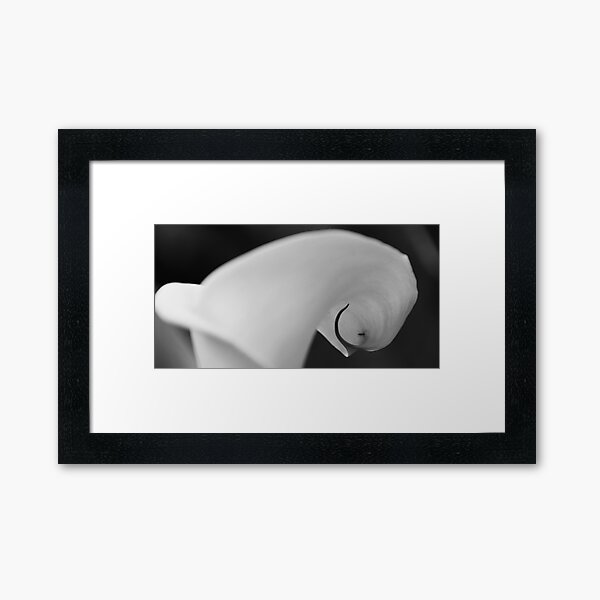 Spider on Lily Framed Art Print