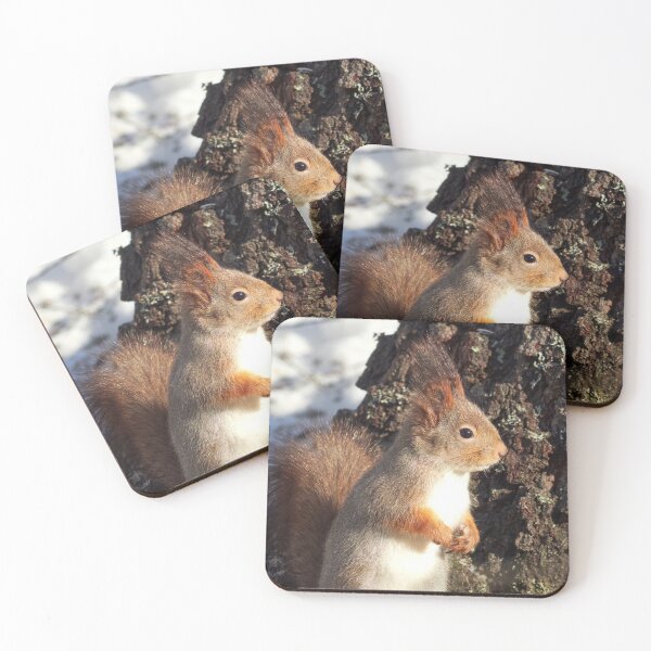 Item preview, In the sunlight. Eurasian red squirrel designed and sold by Jouko Lehto Photography.