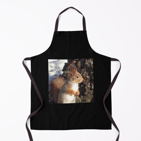 Item preview, In the sunlight. Eurasian red squirrel designed and sold by Jouko Lehto Photography.
