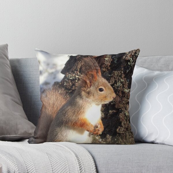Item preview, In the sunlight. Eurasian red squirrel designed and sold by Jouko Lehto Photography.