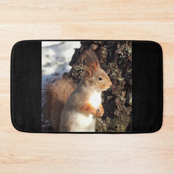 Item preview, In the sunlight. Eurasian red squirrel designed and sold by Jouko Lehto Photography.