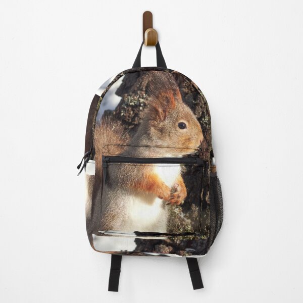 Item preview, In the sunlight. Eurasian red squirrel designed and sold by Jouko Lehto Photography.