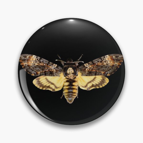 Item preview, African death head hawkmoth designed and sold by tony4urban.