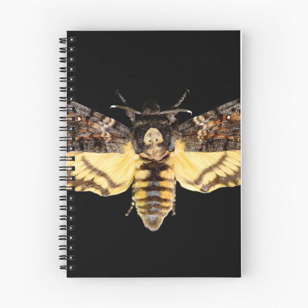 Item preview, African death head hawkmoth designed and sold by tony4urban.