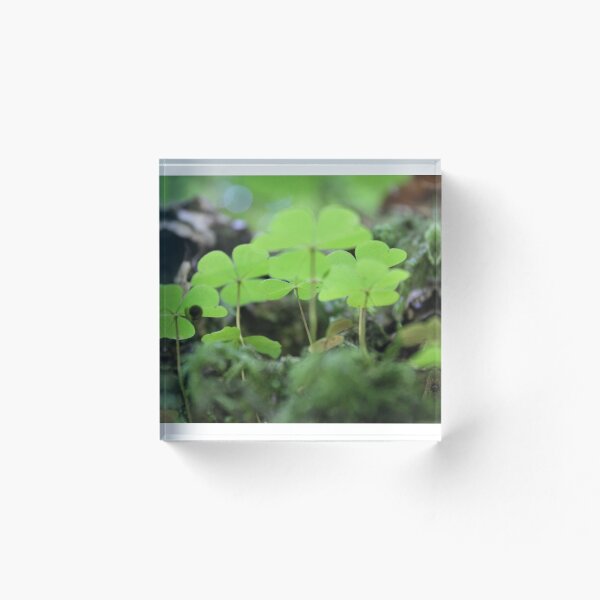 Item preview, clover designed and sold by Alina_X.