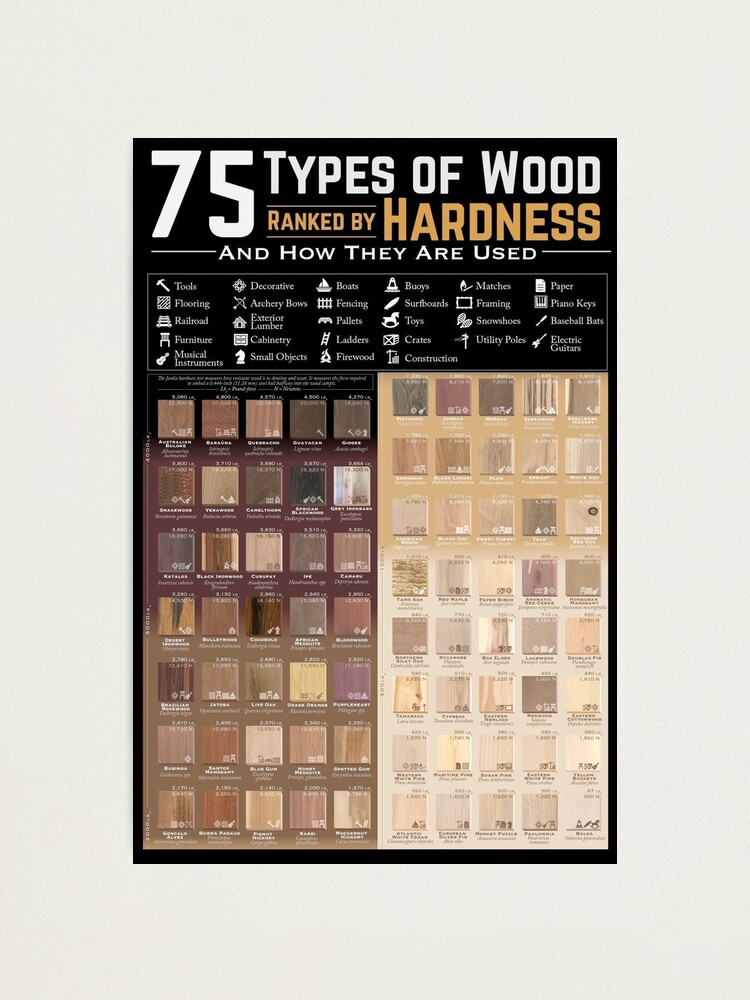 "75 types of wood ranked by hardness " Photographic Print for Sale by