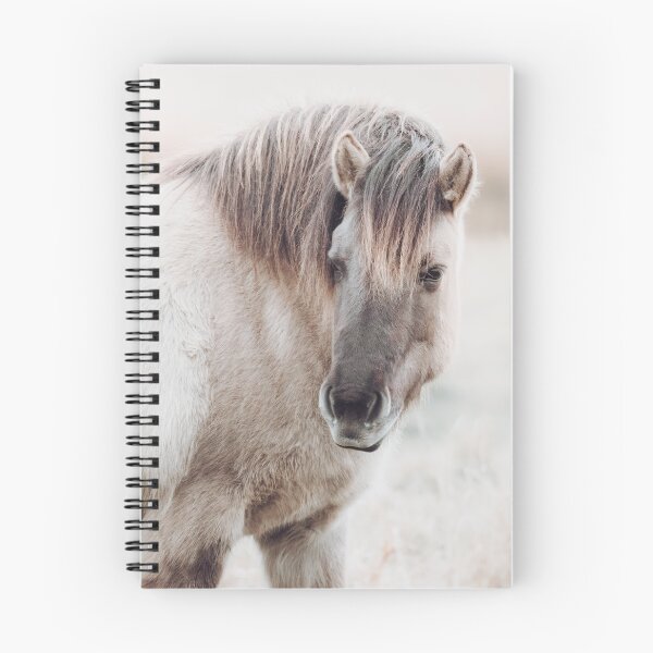 Item preview, Konik Horse Portrait | Horse Photography | Horse Fine Art Print designed and sold by Melissa Peltenburg.