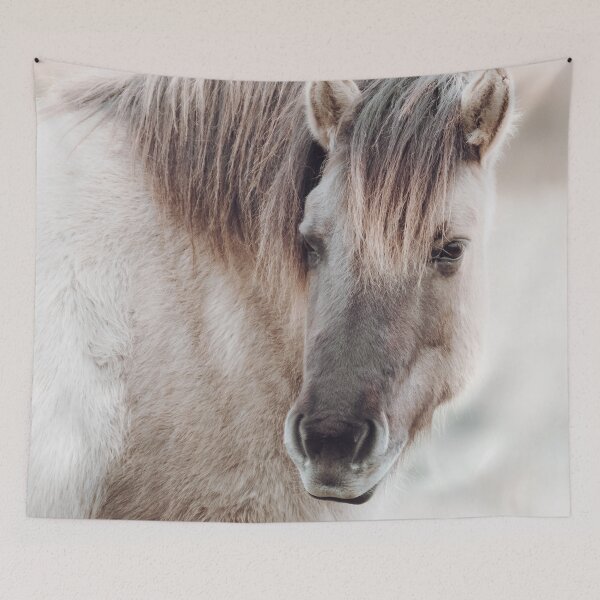 Item preview, Konik Horse Portrait | Horse Photography | Horse Fine Art Print designed and sold by Melissa Peltenburg.