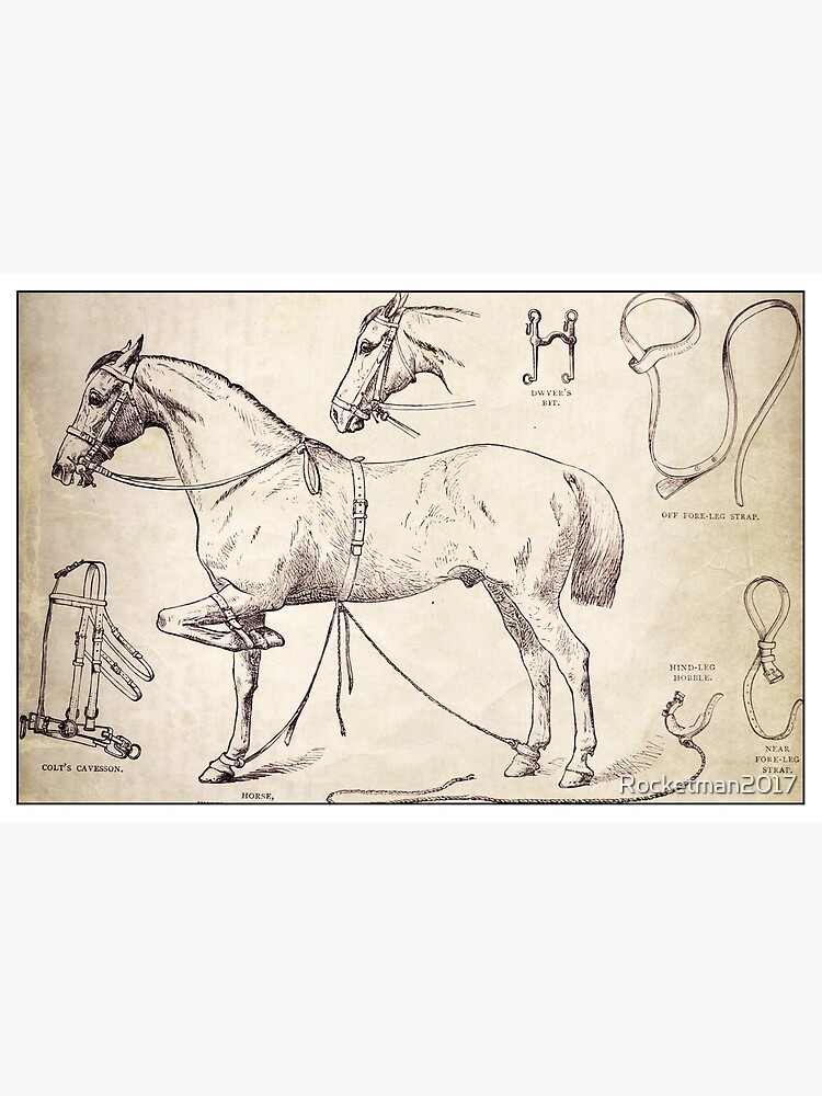 Poster « Impression de cheval antique avec un point d'ancrage