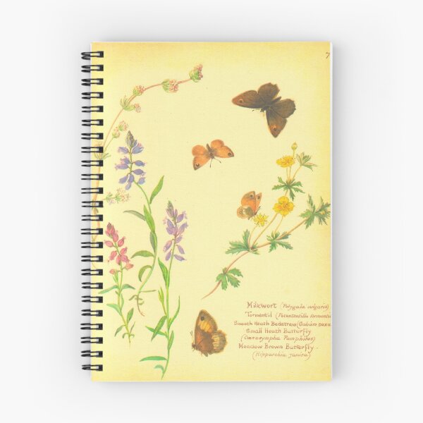 Item preview, Milkwort. 1880's antique book designed and sold by carolynannwatso.