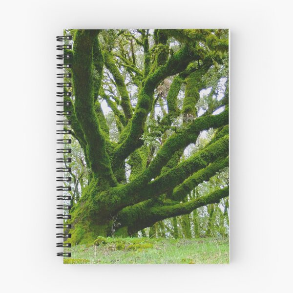Item preview, Green Moss Tree designed and sold by softbluehum.