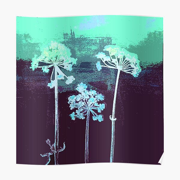 Cow Parsley blues Poster