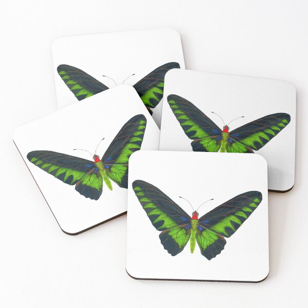 Item preview, Raja Brook’s Birdwing butterfly  designed and sold by ColorSplendor.